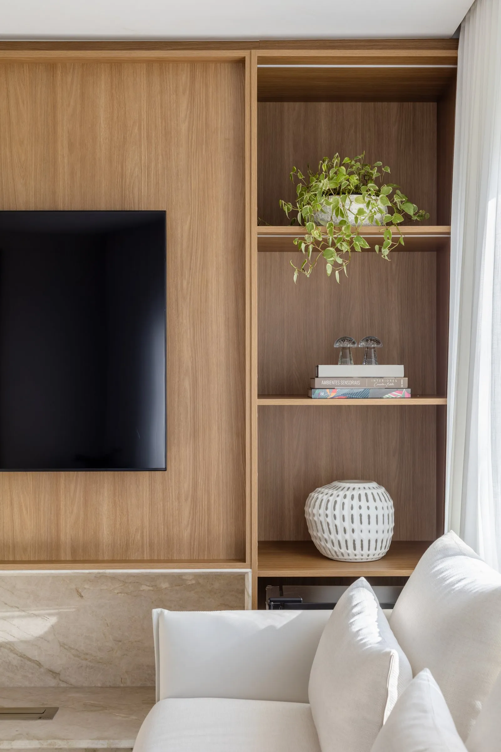 Estante de madeira com planta, livros e vaso ao lado da TV