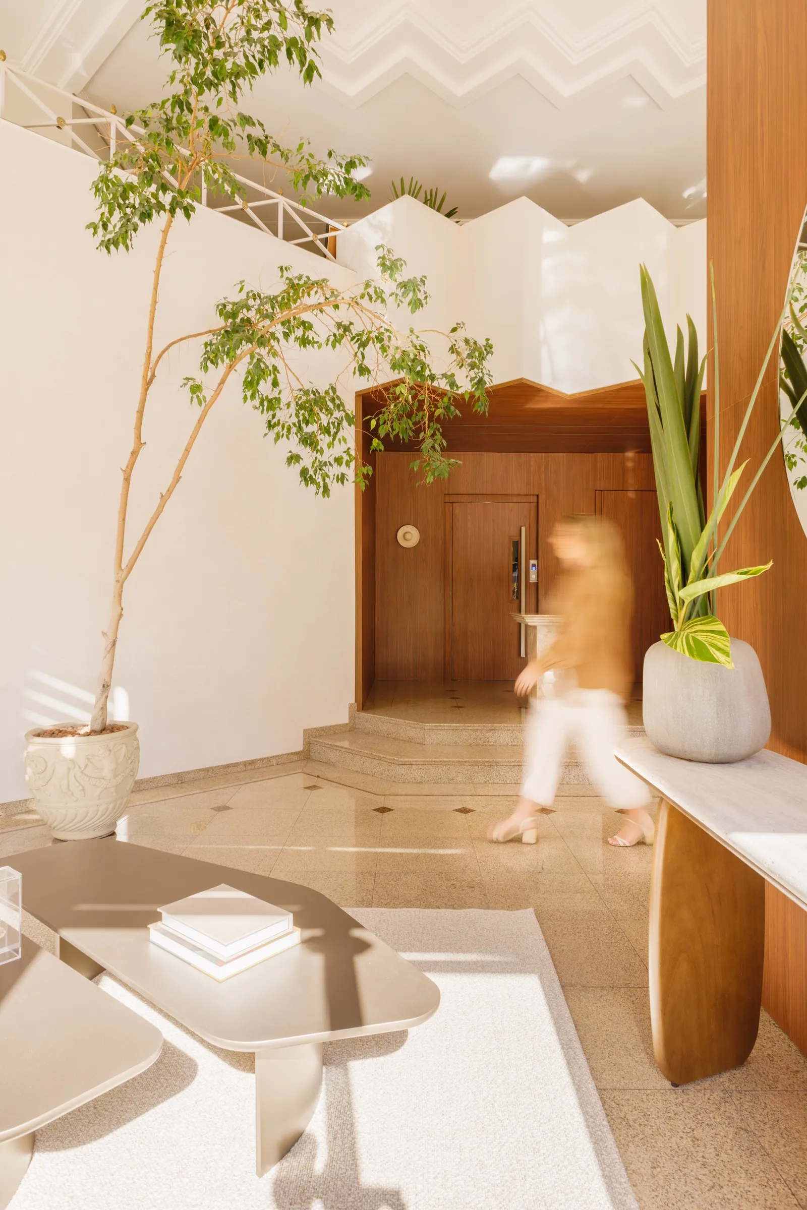 Hall com árvore em vaso, degraus e porta de madeira ao fundo
