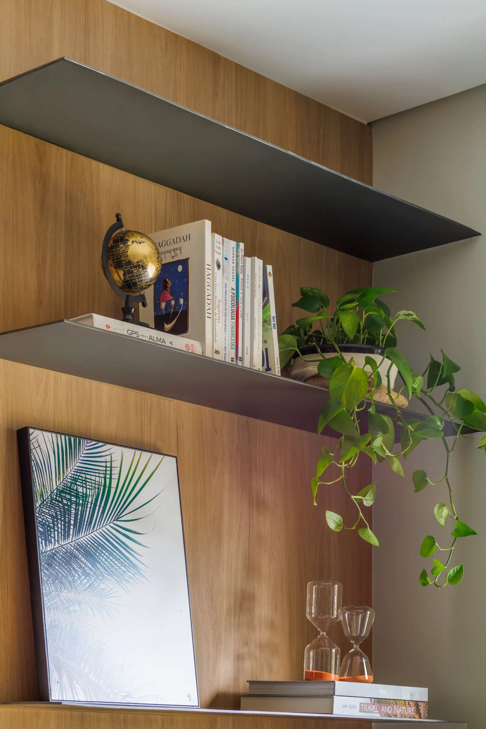 Prateleiras escuras sobre painel de madeira com livros, globo e planta