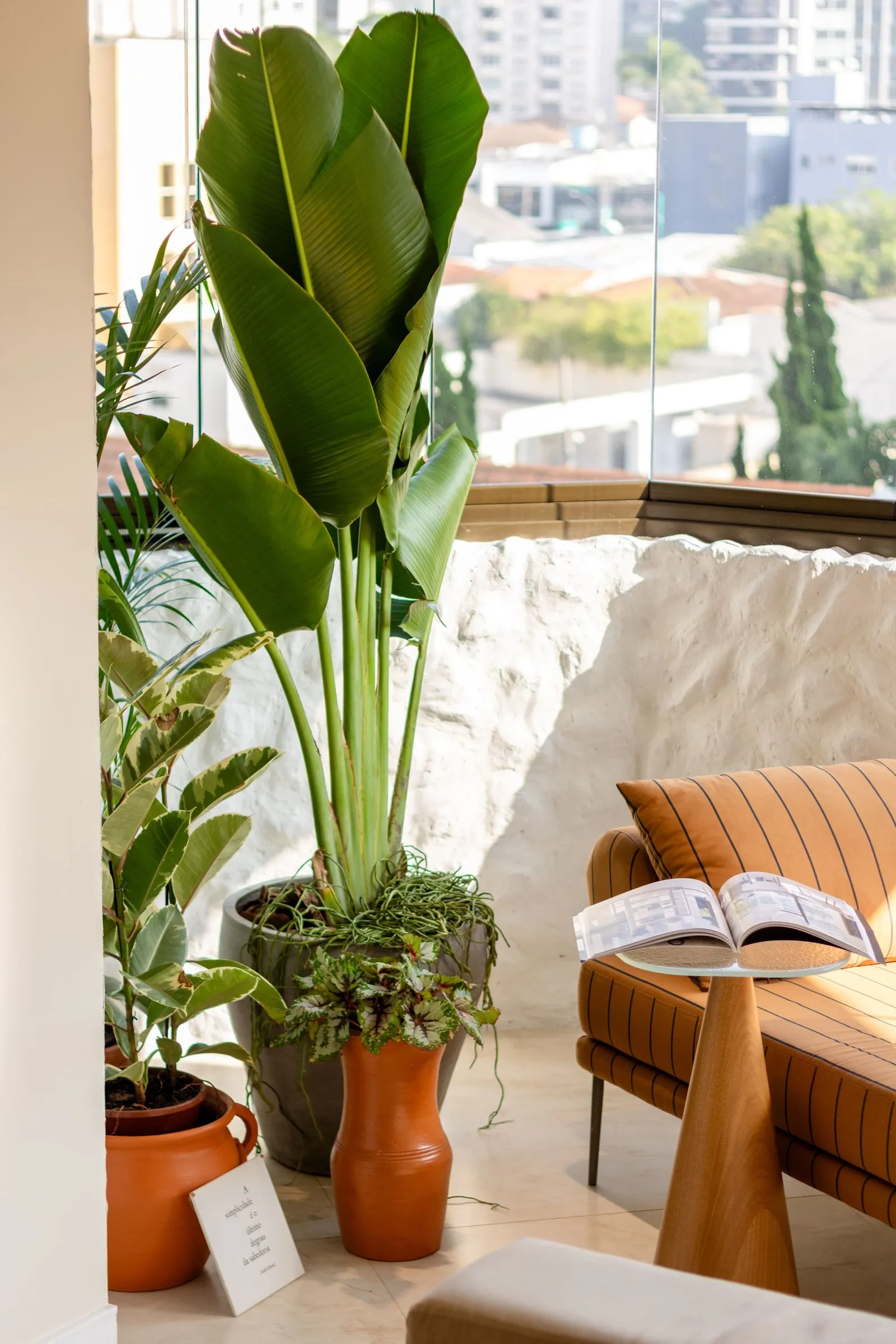 Planta grande e chaise na varanda